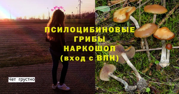 мет Переславль-Залесский