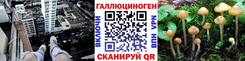 даркнет сайт  Орехово-Зуево  Псилоцибиновые грибы Cubensis 
